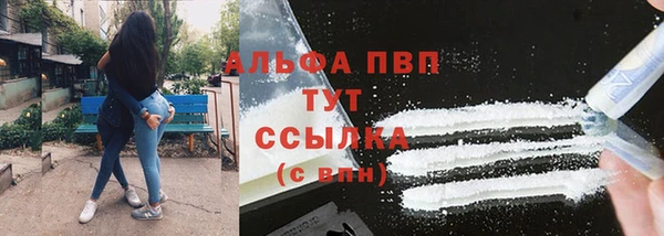 apvp Аркадак